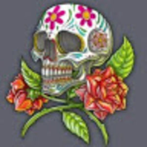 Meet your Posher, Hailey